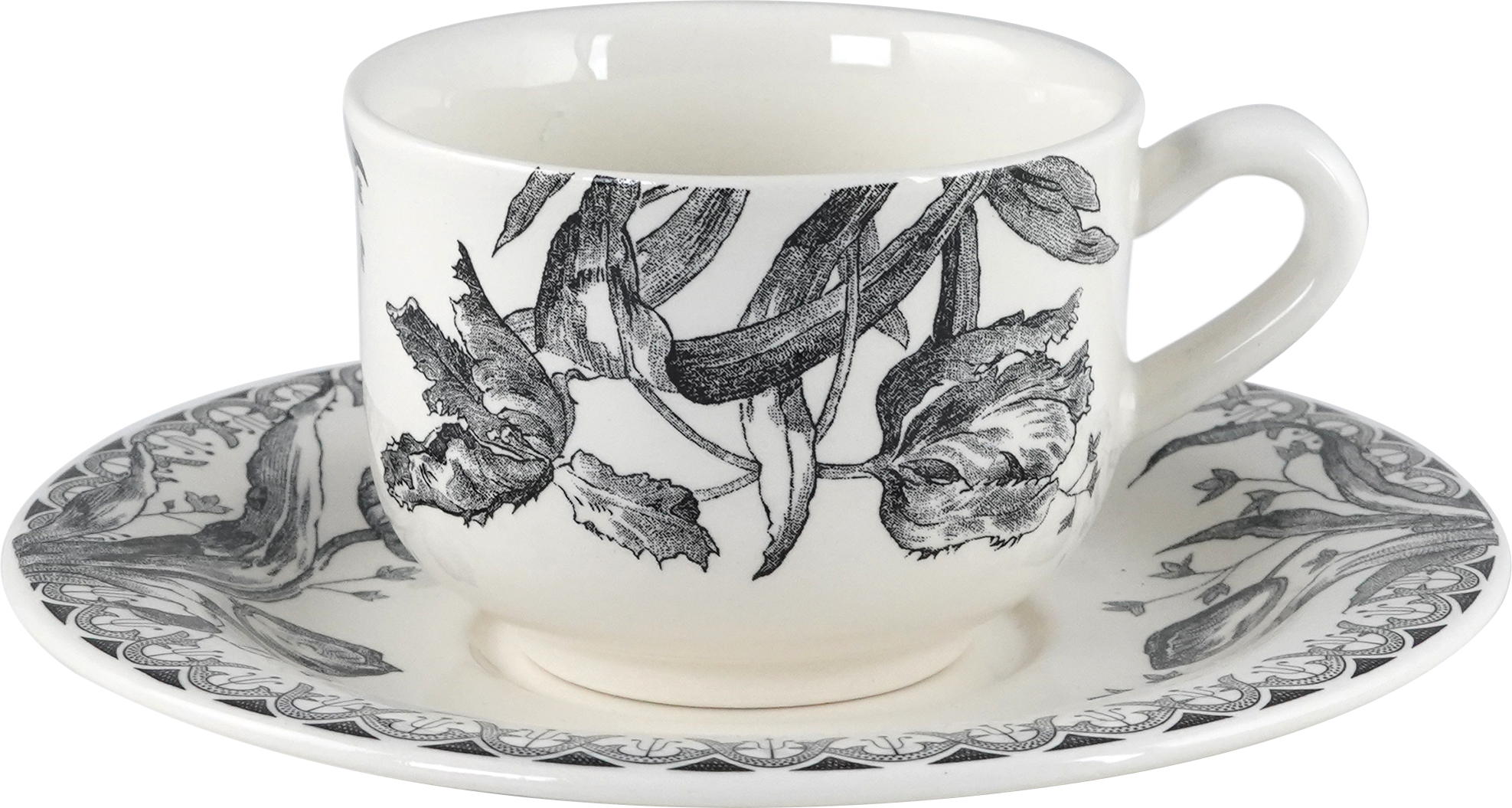 After Dinner  Cup & Saucer, Tulipes Noires