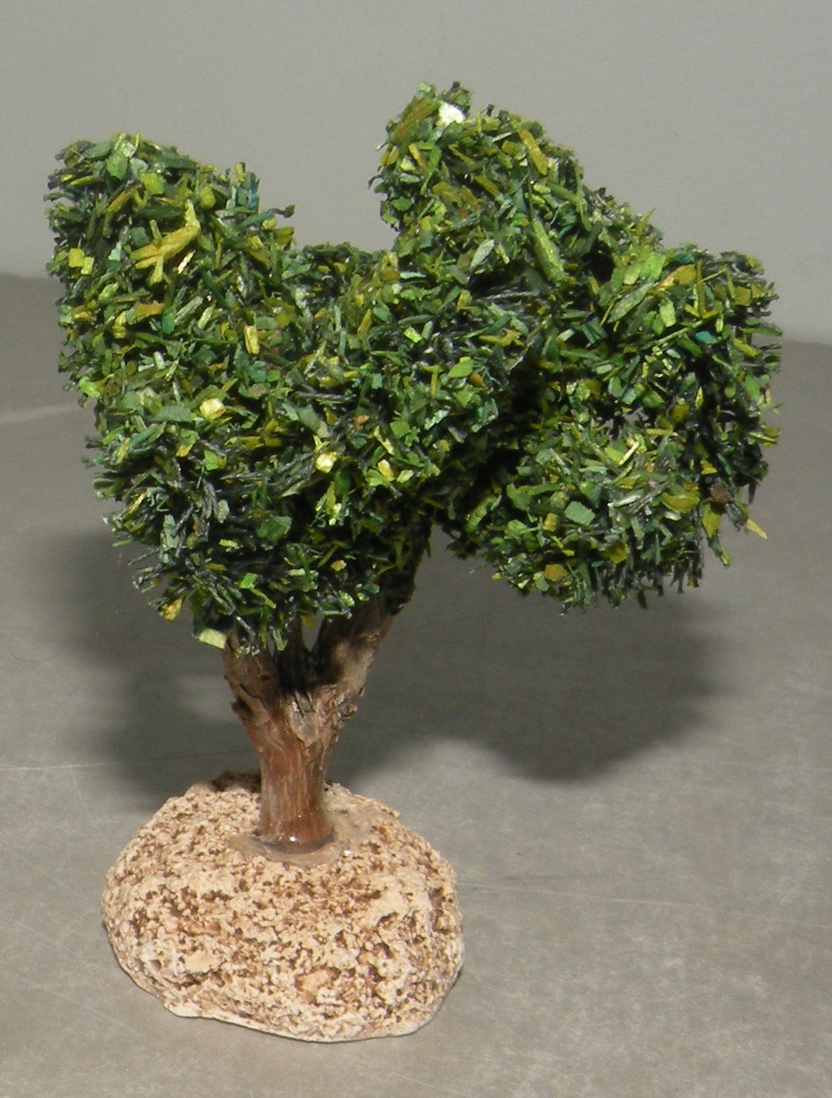 Vine's foot  , ( 907 ) Fouque 6 Cm