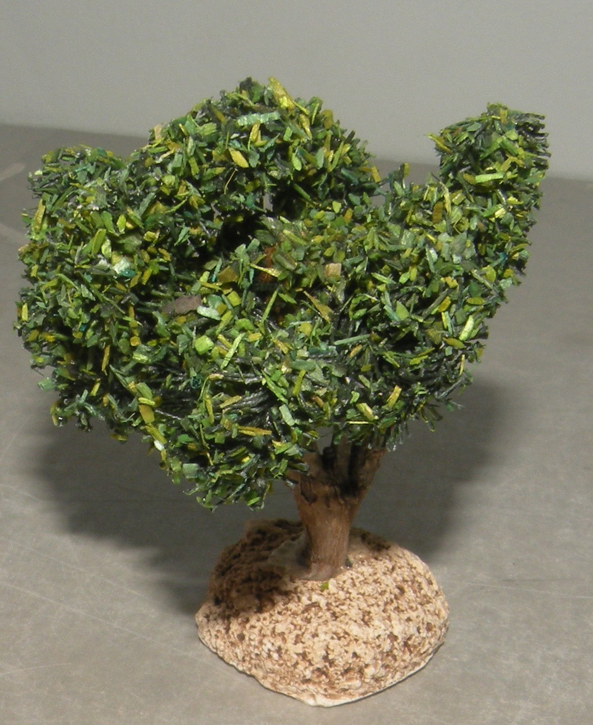 Vine's foot  , ( 907 ) Fouque 6 Cm