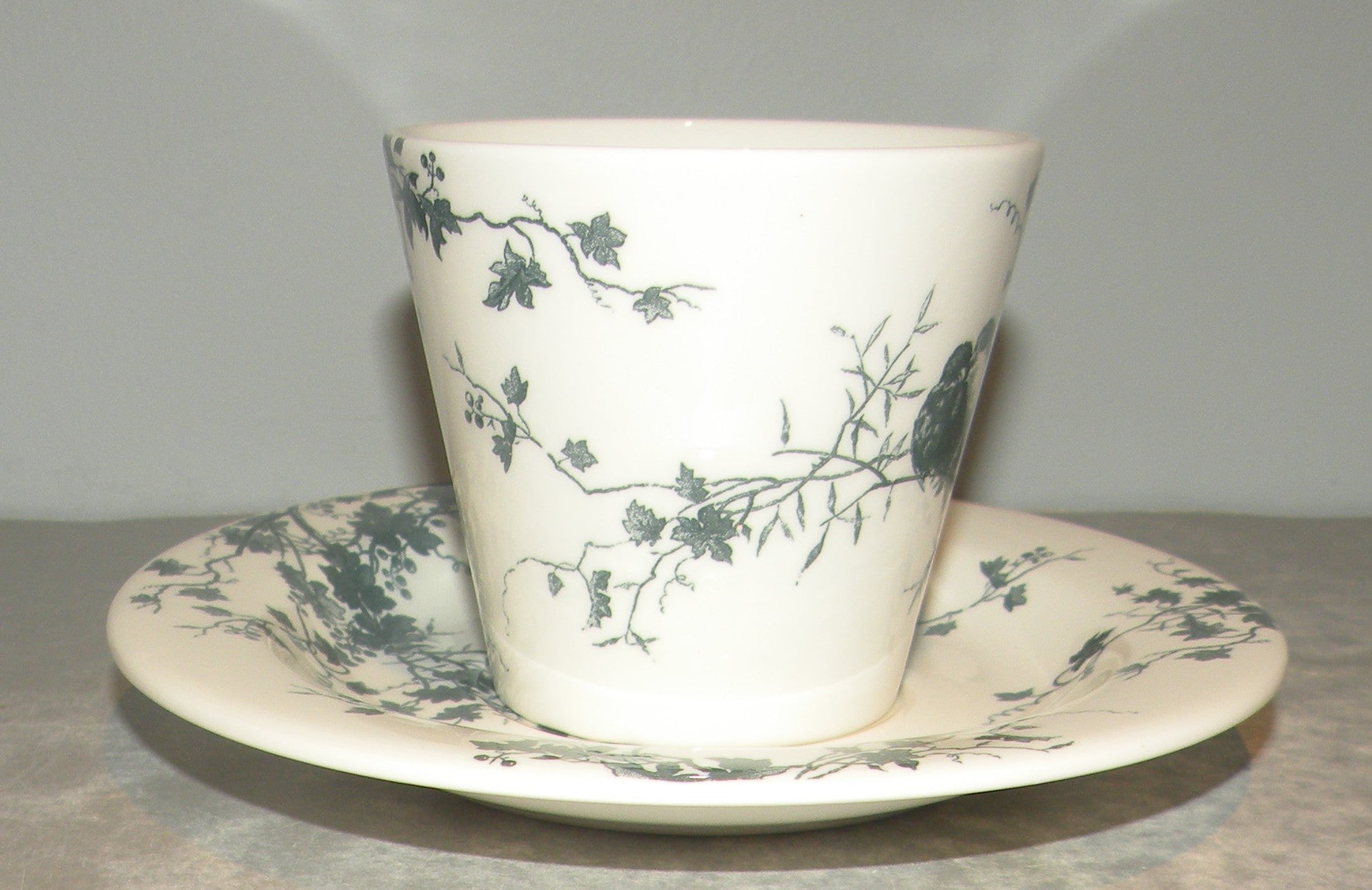Tea Cup & Saucer  Les Oiseaux