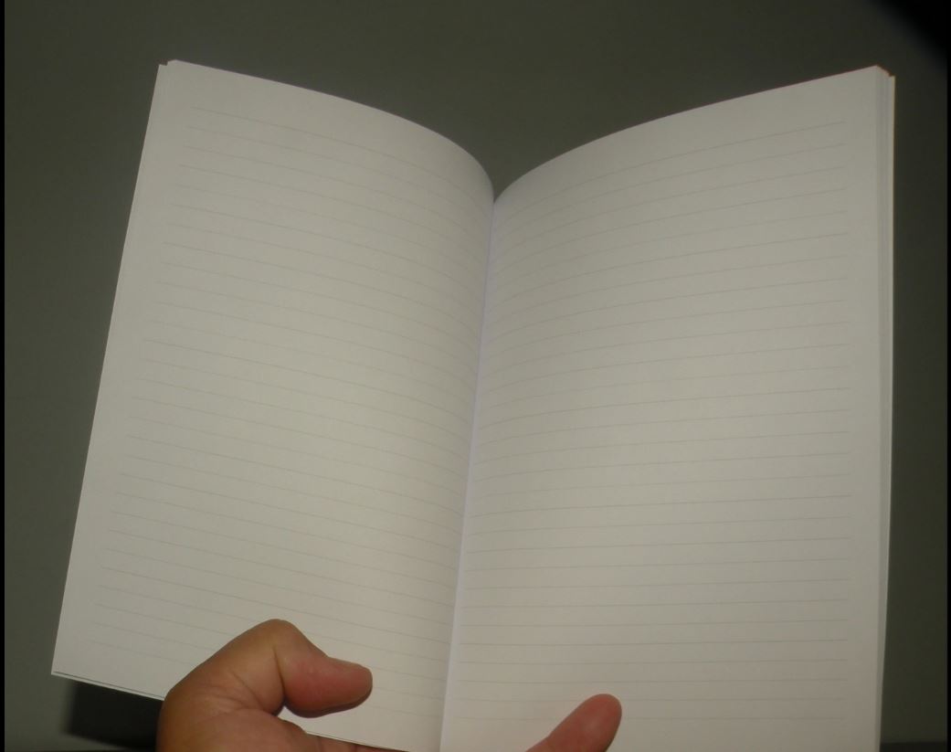 2 Notebooks Le Jardin du Palais