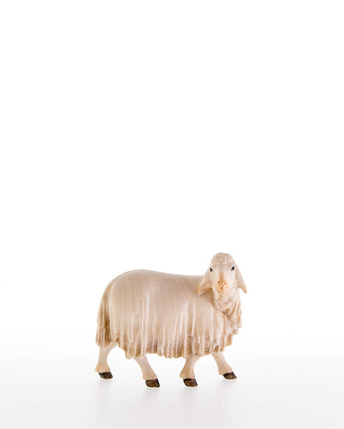Sheep looking back Venetian Nativity