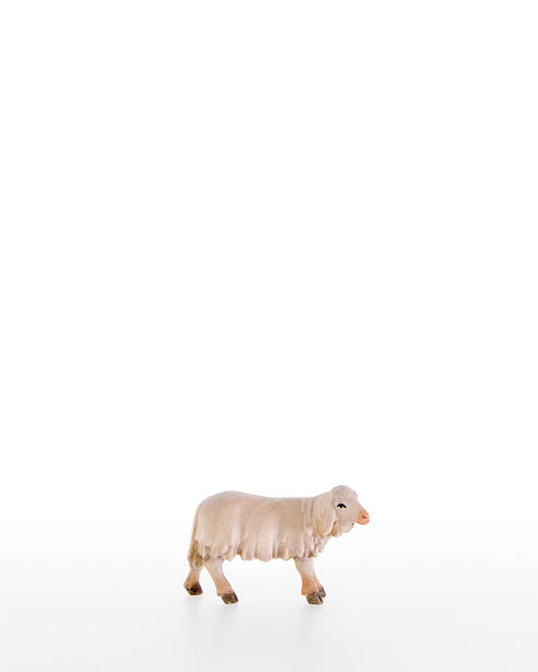 Lamb looking to the left Venetian Nativity