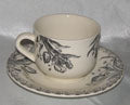 Tea Cup & Saucer,Tulipes Noires