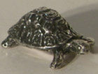 Turtle Medium, Michel Laude