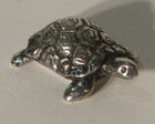 Turtle SM, Michel Laude