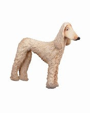 Afghan Greyhound, 00504-A, Lepi