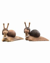 Snail Haidi. 00509, Lepi