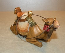 Camel Lying Down, Gloria