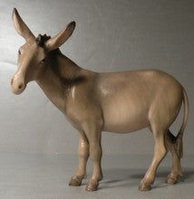 Donkey, Gloria