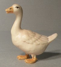 Goose Looking Forward, Gloria