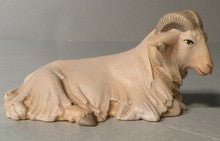 Ram, Gloria