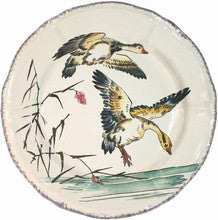 Dinner Plate Greylag geese, Grands Oiseaux