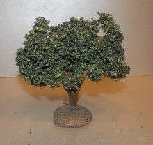 Olive Tree , ( 901 ) Fouque, 9 cm