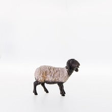 Sheep cries black head ( 21206-AS ),  Nazarene