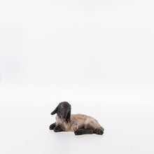 Sheep Lying-down  black head 1 ( 21208-AS ),  Nazarene