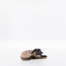 Sheep Lying-down  black head 2 ( 21208-AS ),  Nazarene
