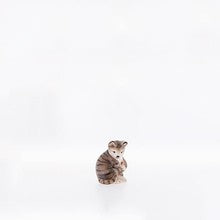 Cat ( 22100-A ),  Nazarene