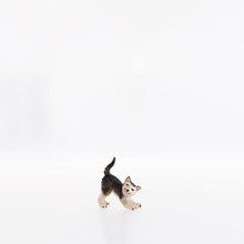 Cat purring ( 22103-A ),  Nazarene
