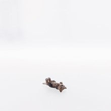 Cat lying with closed eyes ( 22104-A ),  Nazarene