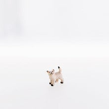 Cat looking upwards ( 22105-A ),  Nazarene