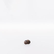 Sleeping Cat ( 22108-A ),  Nazarene