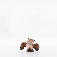 Owl  ( 23100-A ),  Nazarene