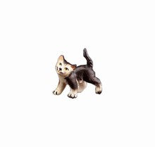 Cat running ( 22106-A ),  Nazarene