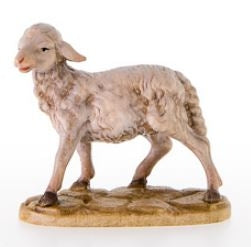 Sheep Standing ( 21006 ) , Rupert
