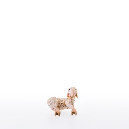 Lamb - Oriental nativity dressed - 21288