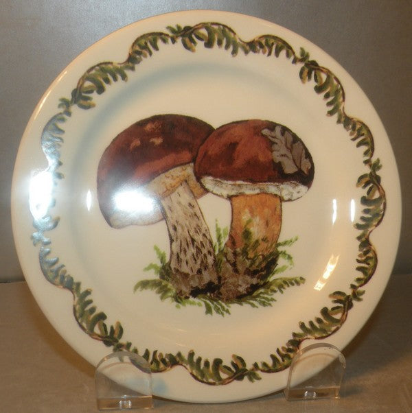 Bottle Coaster Bolets, Chanterelle