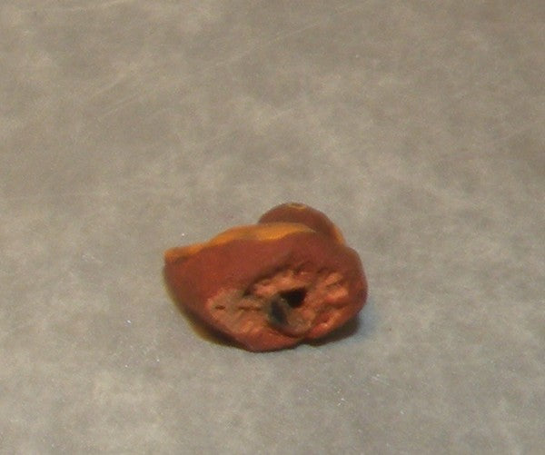 Duck (female), Fouque 2cm
