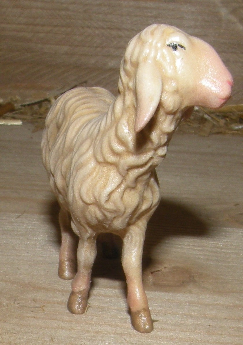 Sheep standing ( 21205-A ),  Nazarene