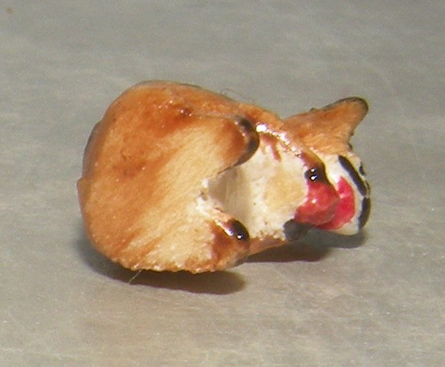 Squirrel , Kastlunger