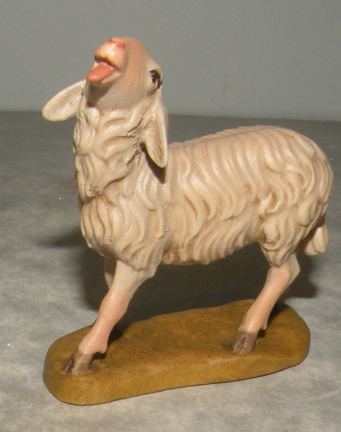 Sheep looking up ( 21203 ) ,   Rustic