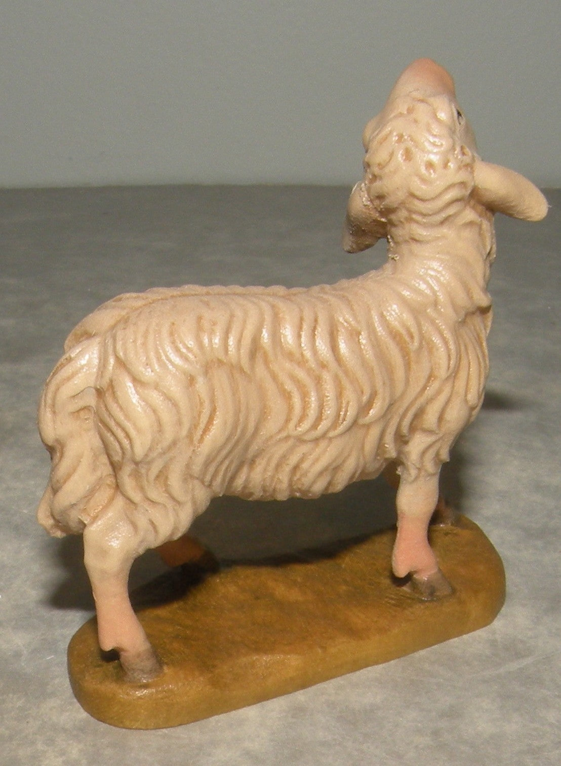 Sheep looking up ( 21203 ) ,   Rustic