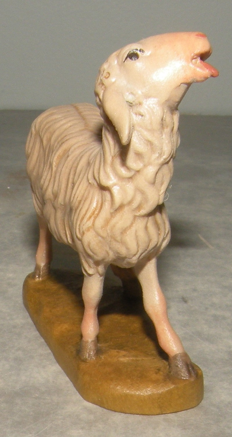 Sheep looking up ( 21203 ) ,   Rustic