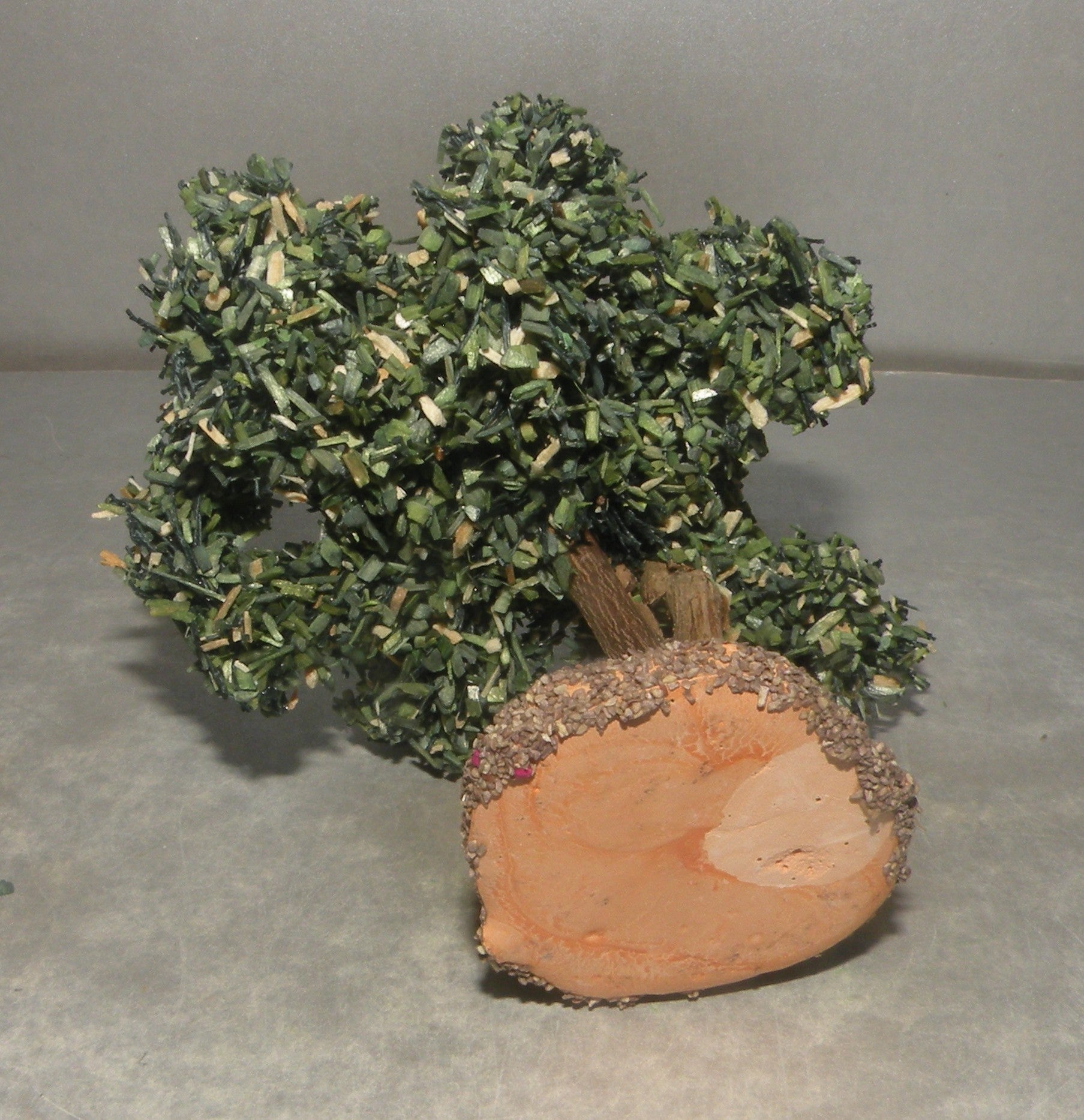 Olive Tree  Fouque 2 Cm