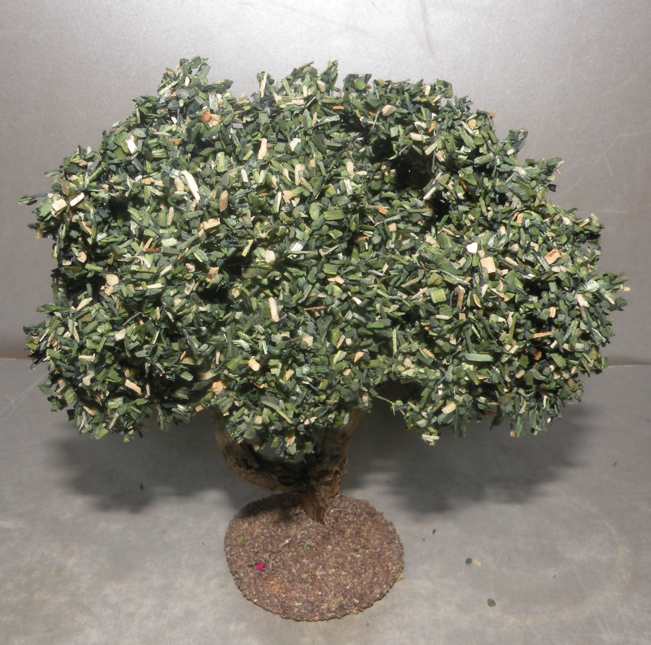 Olive Tree, Fouque, 4 cm