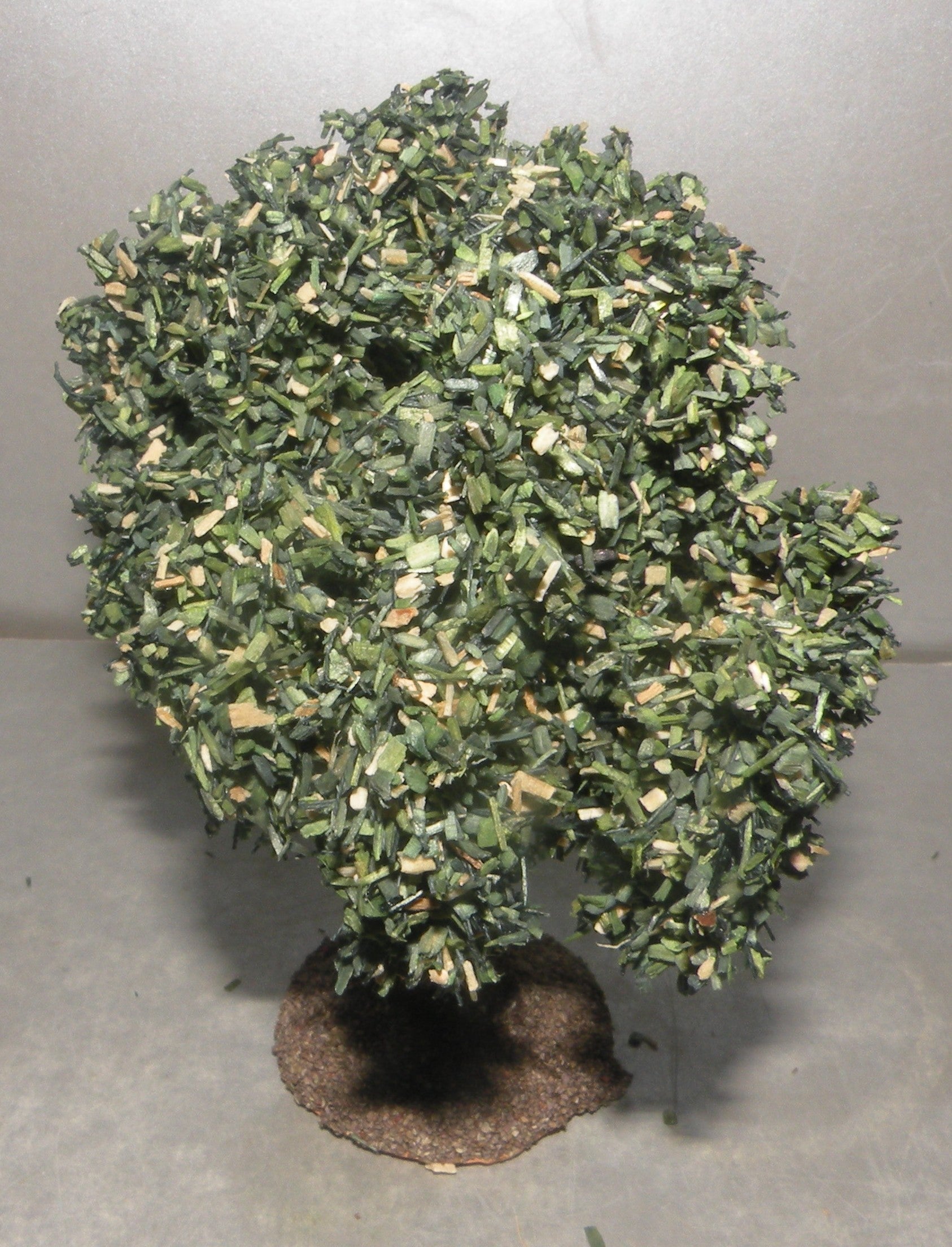 Olive Tree, Fouque, 4 cm
