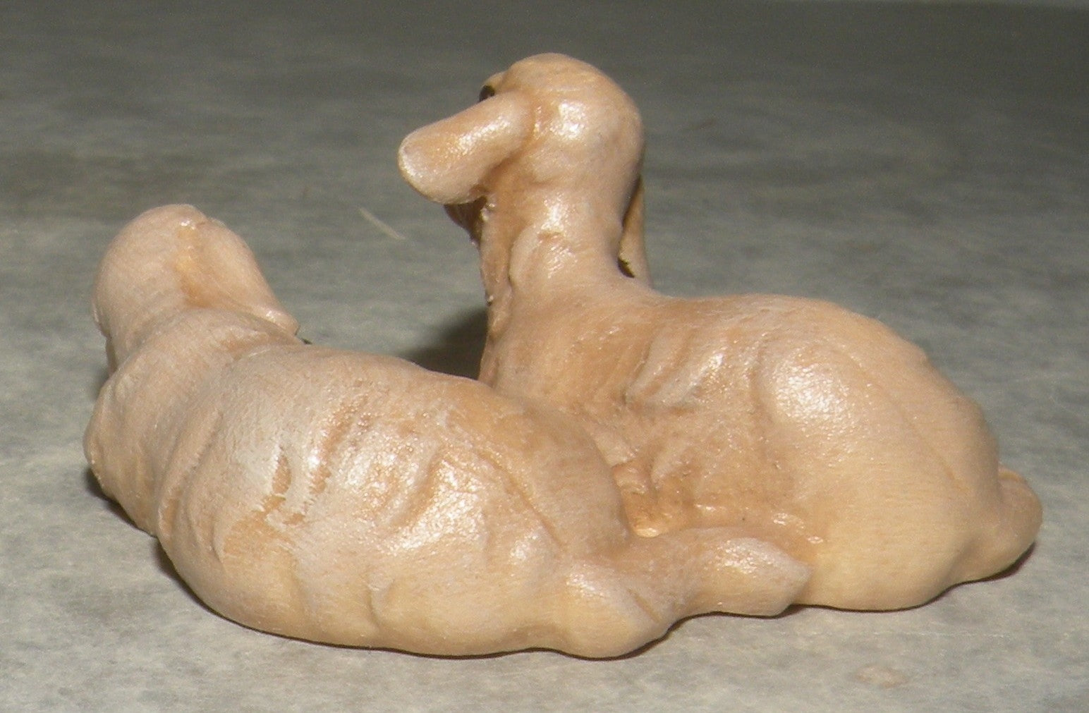 Couple of lambs lying down  ( 21284 )    ,   Rustic