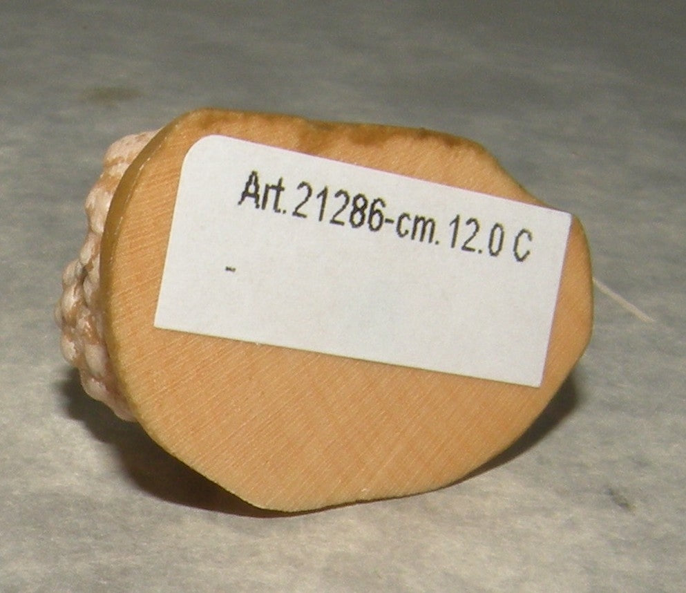 Lamb lying-down  ( 21286 ) ,   Rustic