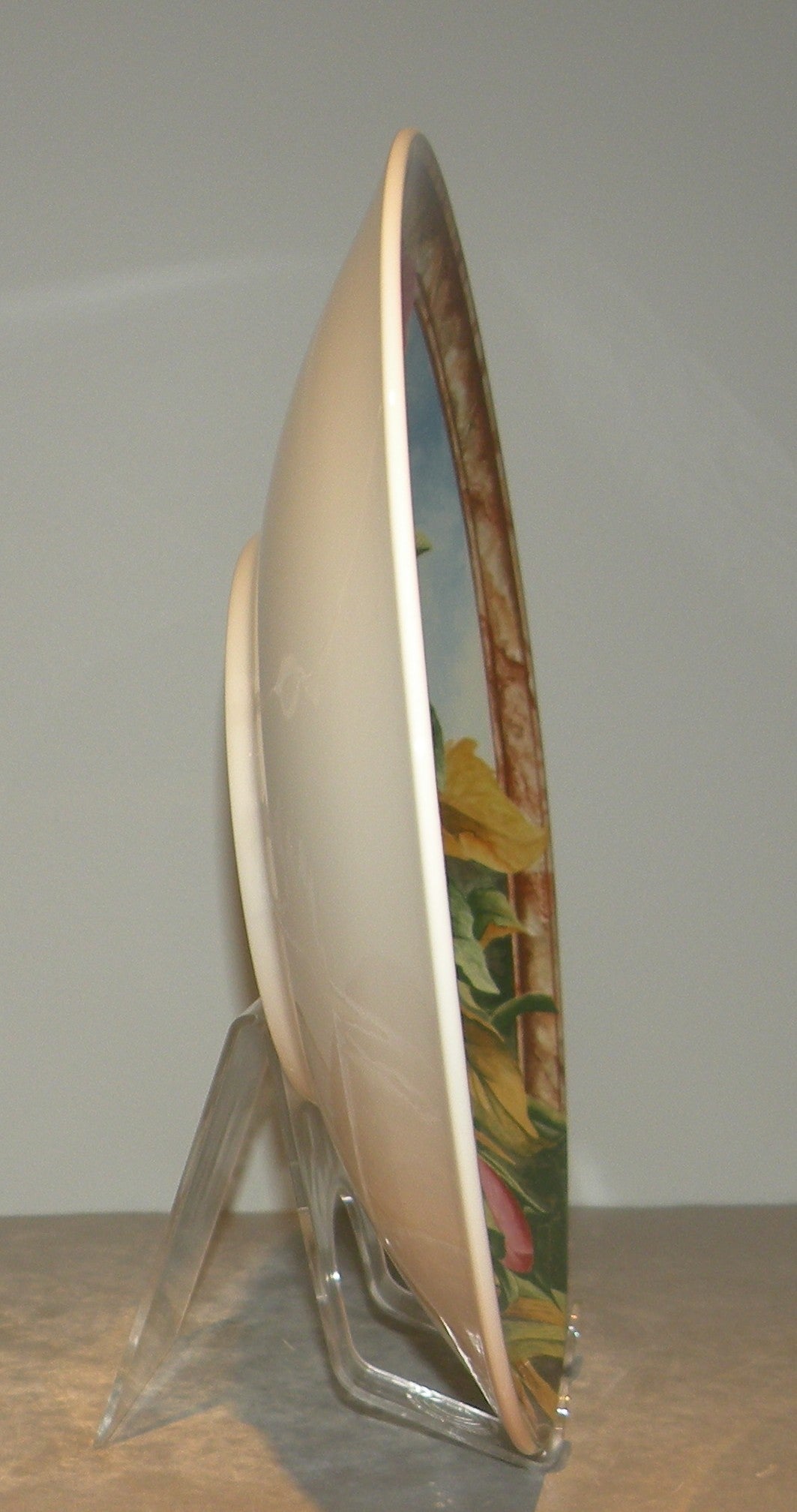 Trevise Dish ( Pasta Bowl ), Volupte