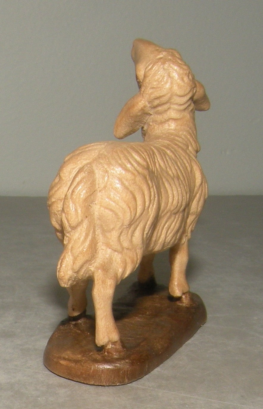 sheep looking up - 21203 , Rustic ZF Finish