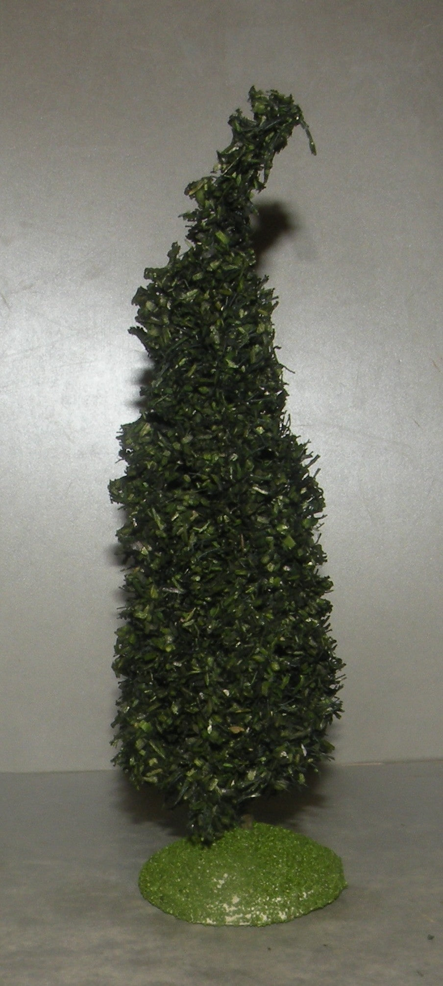 Cypress Didier 10 Cm