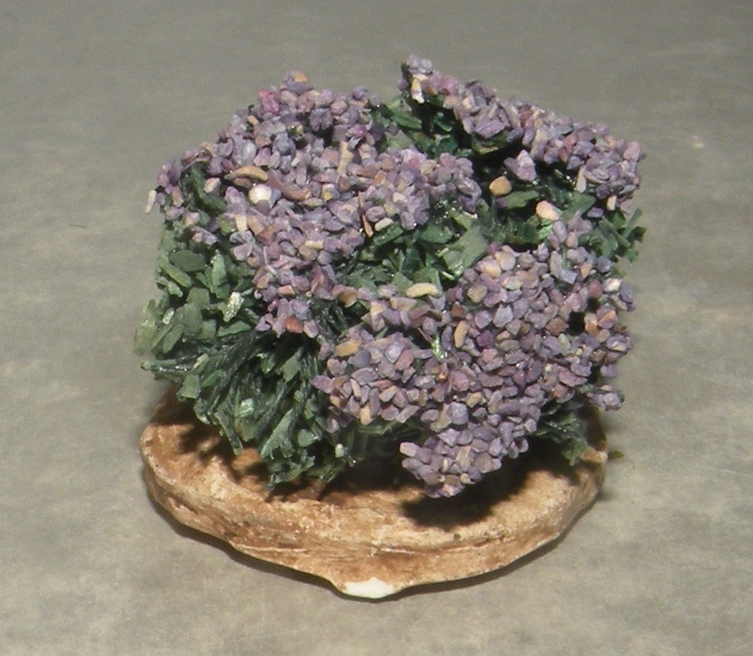 Foot of Lavander , Didier 10 - 7 - 6 Cm