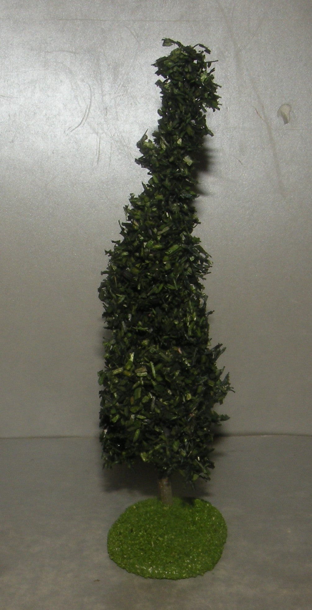 Cypress Didier , 7 - 6 Cm