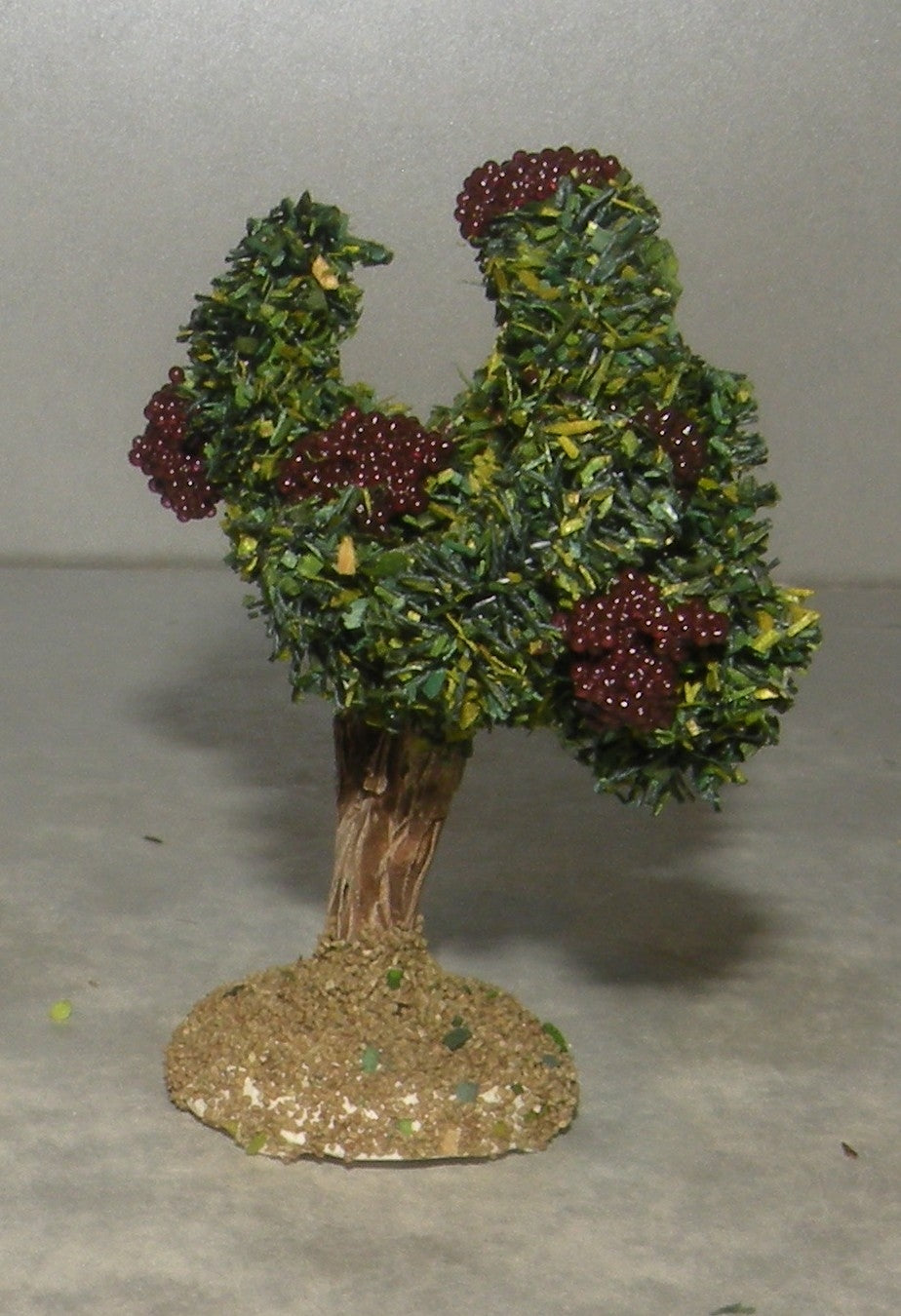 Grape Vine , Didier 6 - 7  Cm