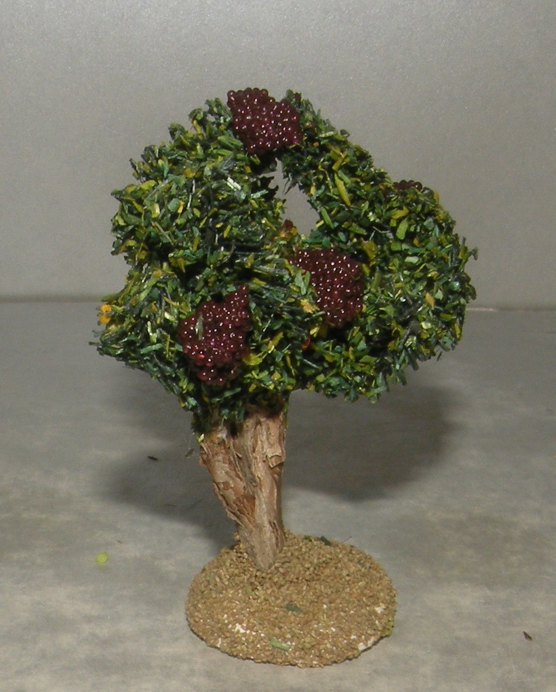Grape Vine , Didier 6 - 7  Cm