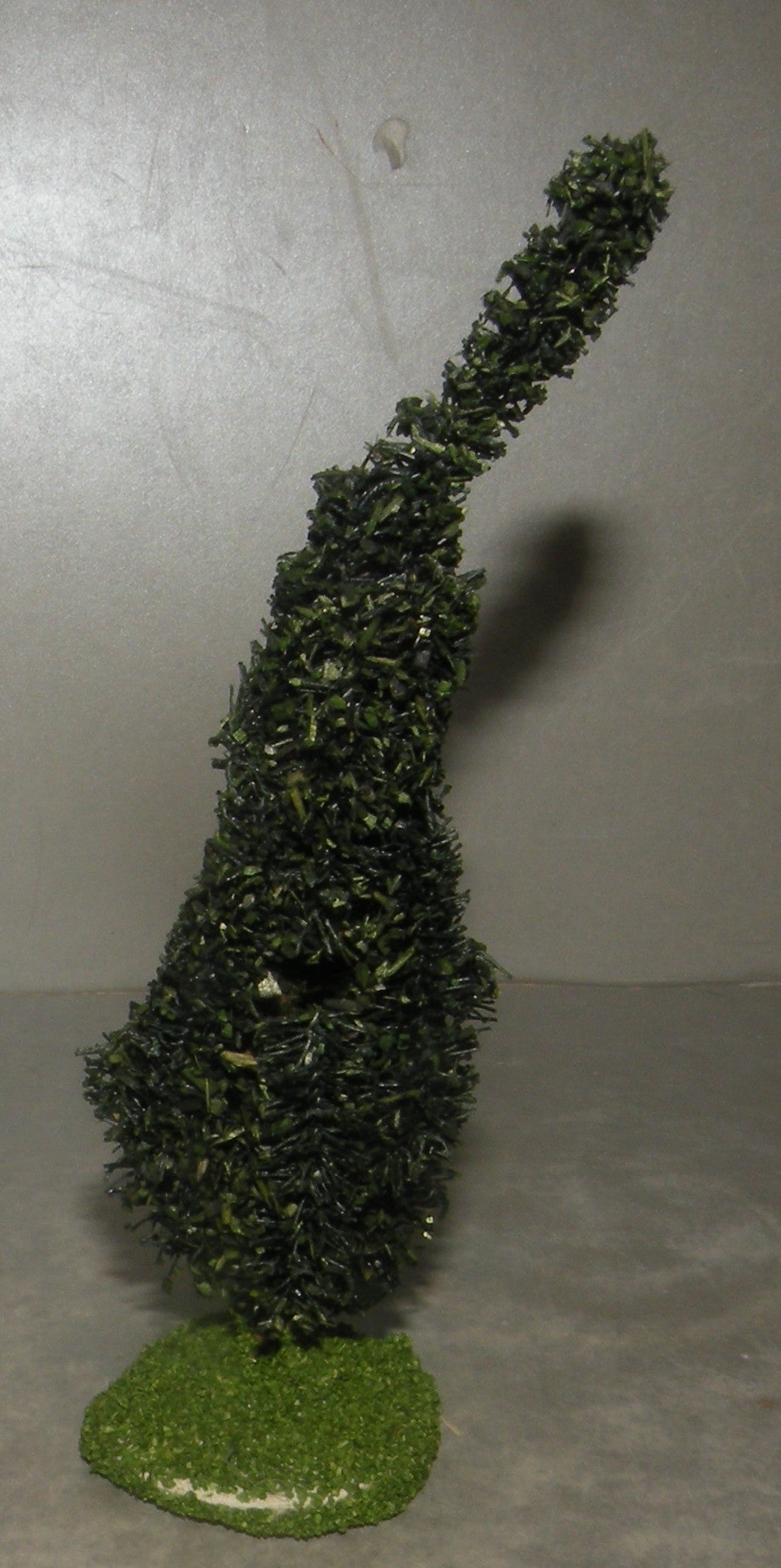 Cypress Didier , 4 Cm